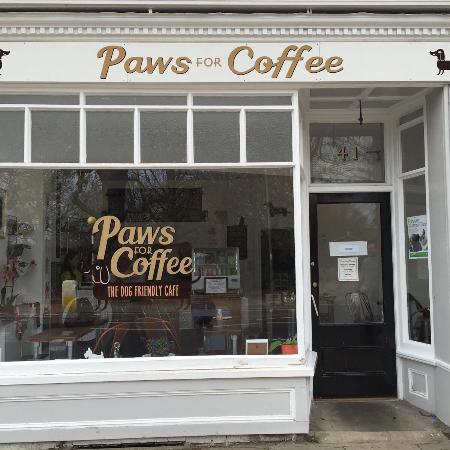 Paws for Coffee