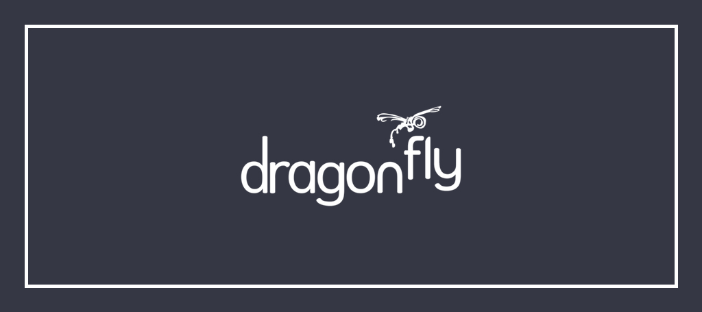 dragonfly-digital-video-services-logo